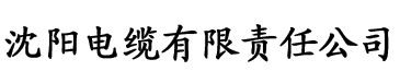 91香蕉ios电缆厂logo